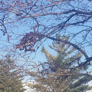 Meet your Posher, Sophia